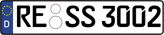 RE-SS3002