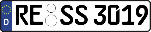 RE-SS3019