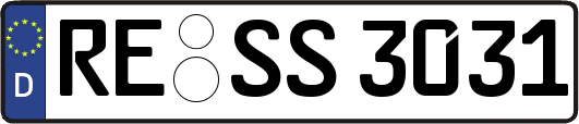 RE-SS3031