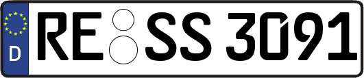 RE-SS3091