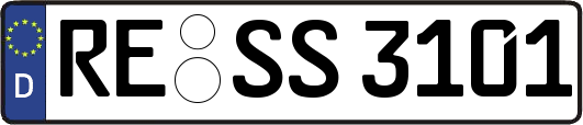 RE-SS3101