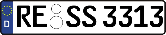 RE-SS3313