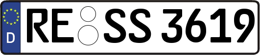 RE-SS3619