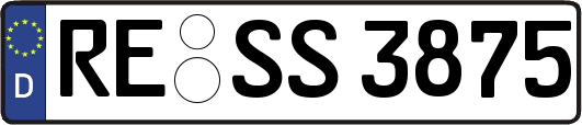 RE-SS3875