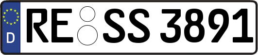RE-SS3891