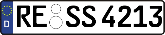 RE-SS4213
