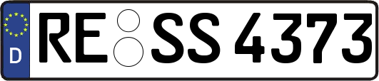RE-SS4373