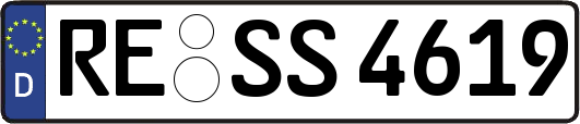 RE-SS4619