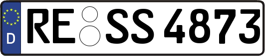 RE-SS4873