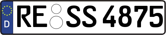 RE-SS4875
