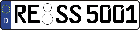 RE-SS5001