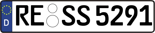 RE-SS5291
