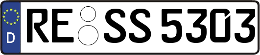 RE-SS5303