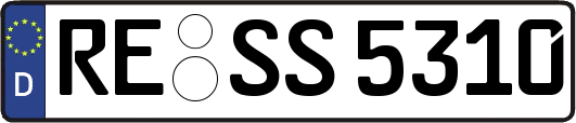 RE-SS5310