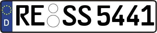 RE-SS5441
