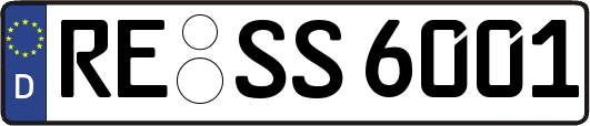 RE-SS6001