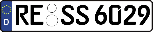 RE-SS6029
