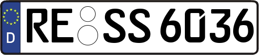 RE-SS6036