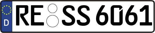 RE-SS6061