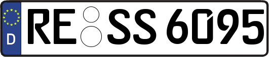 RE-SS6095