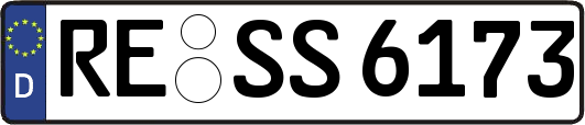 RE-SS6173