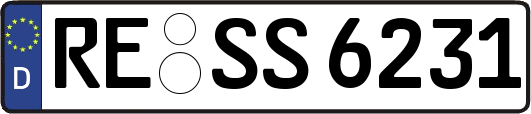 RE-SS6231
