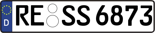 RE-SS6873