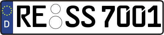 RE-SS7001