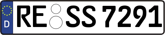RE-SS7291