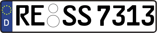 RE-SS7313