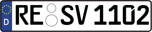 RE-SV1102