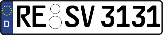 RE-SV3131