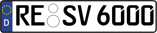RE-SV6000