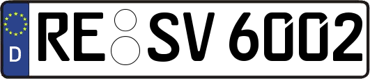 RE-SV6002