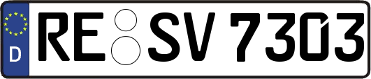 RE-SV7303