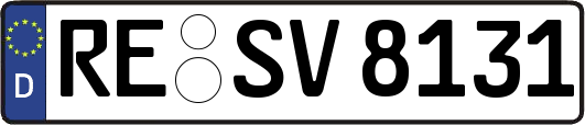 RE-SV8131