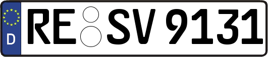 RE-SV9131