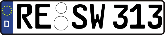 RE-SW313