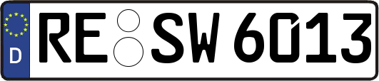 RE-SW6013