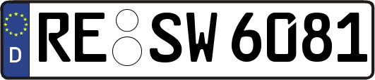 RE-SW6081