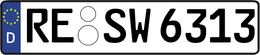 RE-SW6313