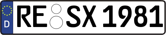 RE-SX1981