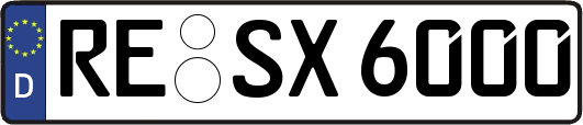 RE-SX6000
