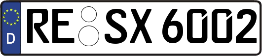 RE-SX6002