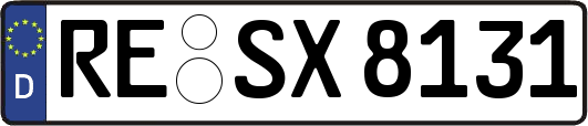 RE-SX8131