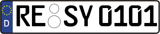 RE-SY0101