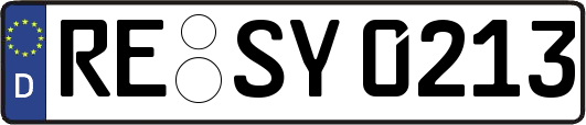 RE-SY0213