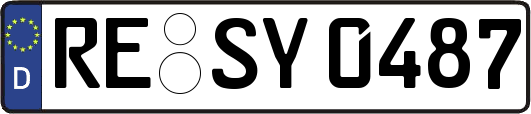 RE-SY0487