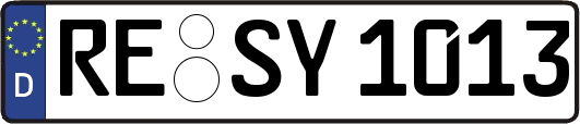 RE-SY1013