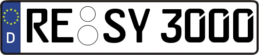 RE-SY3000